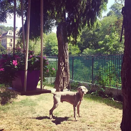 Merano فندق مبيت وإفطار تورينو